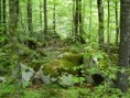 /album/photo-gallery-hiking/dsc00108-jpg/
